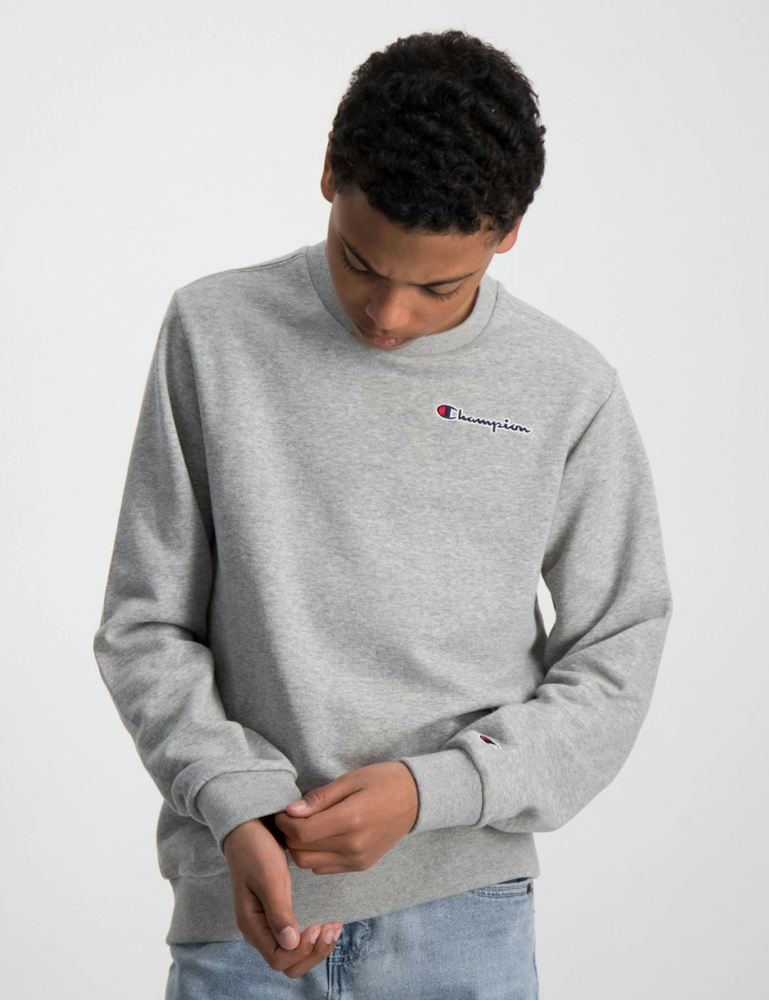 Grå Crewneck Sweatshirt Dreng | Kids Brand Store