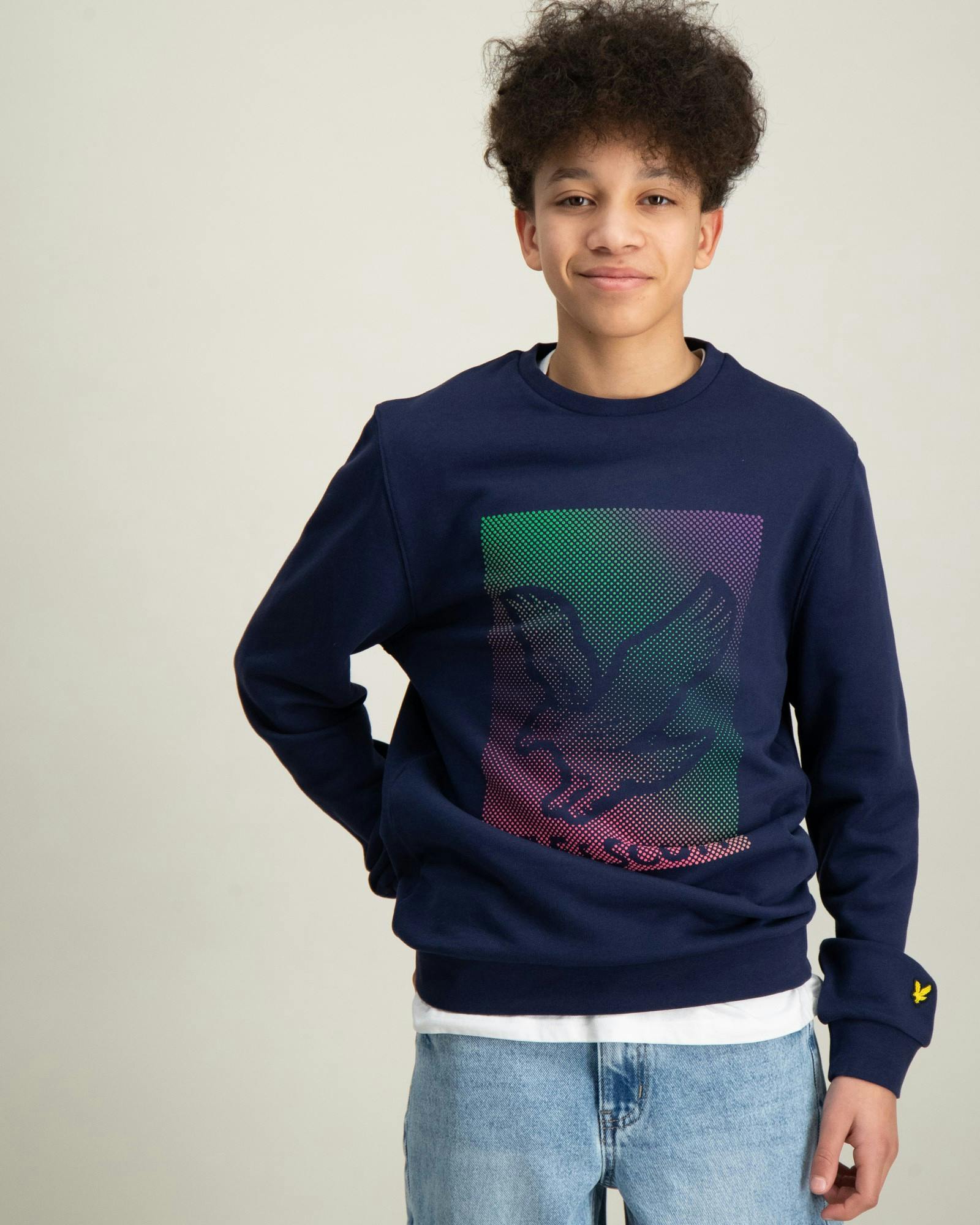 Dotted Eagle Graphic Sweatshirt